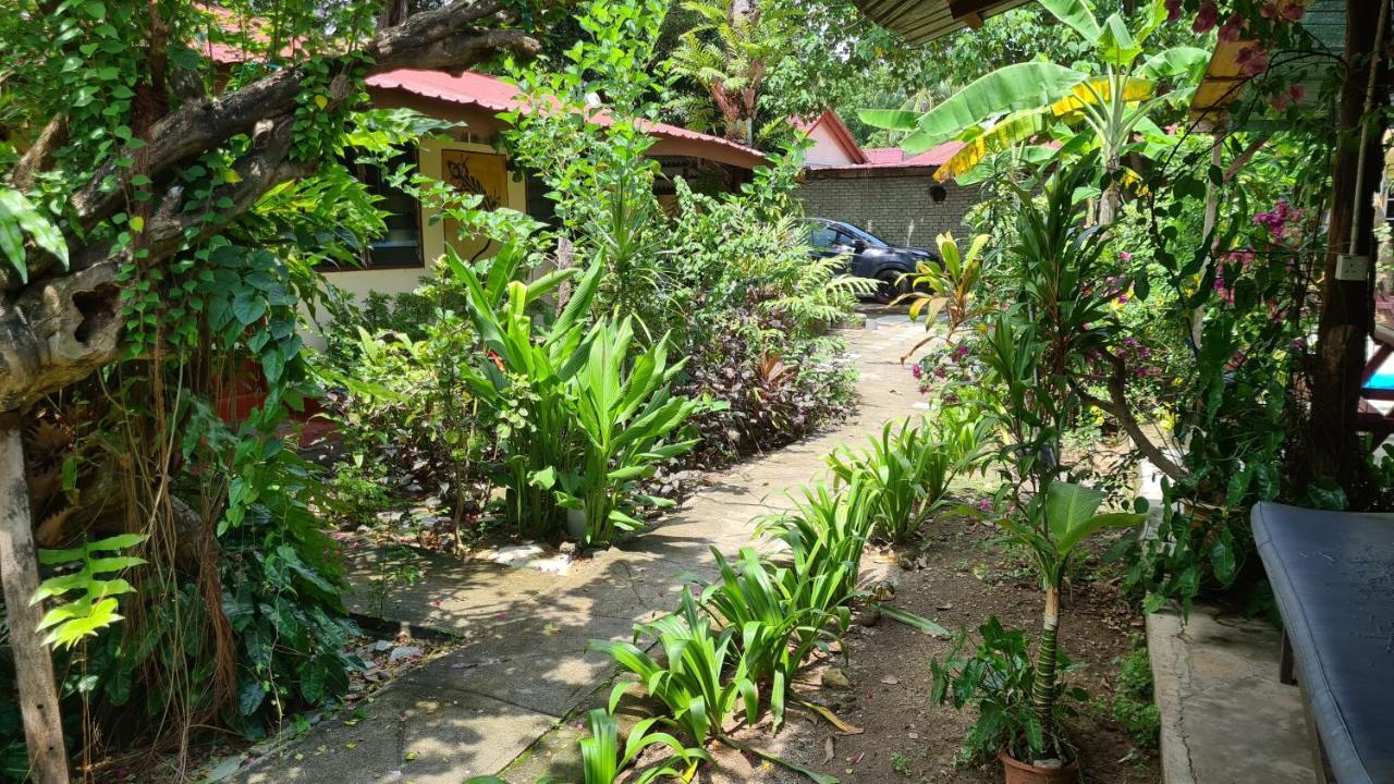 Gecko Guesthouse 판타이체낭 외부 사진