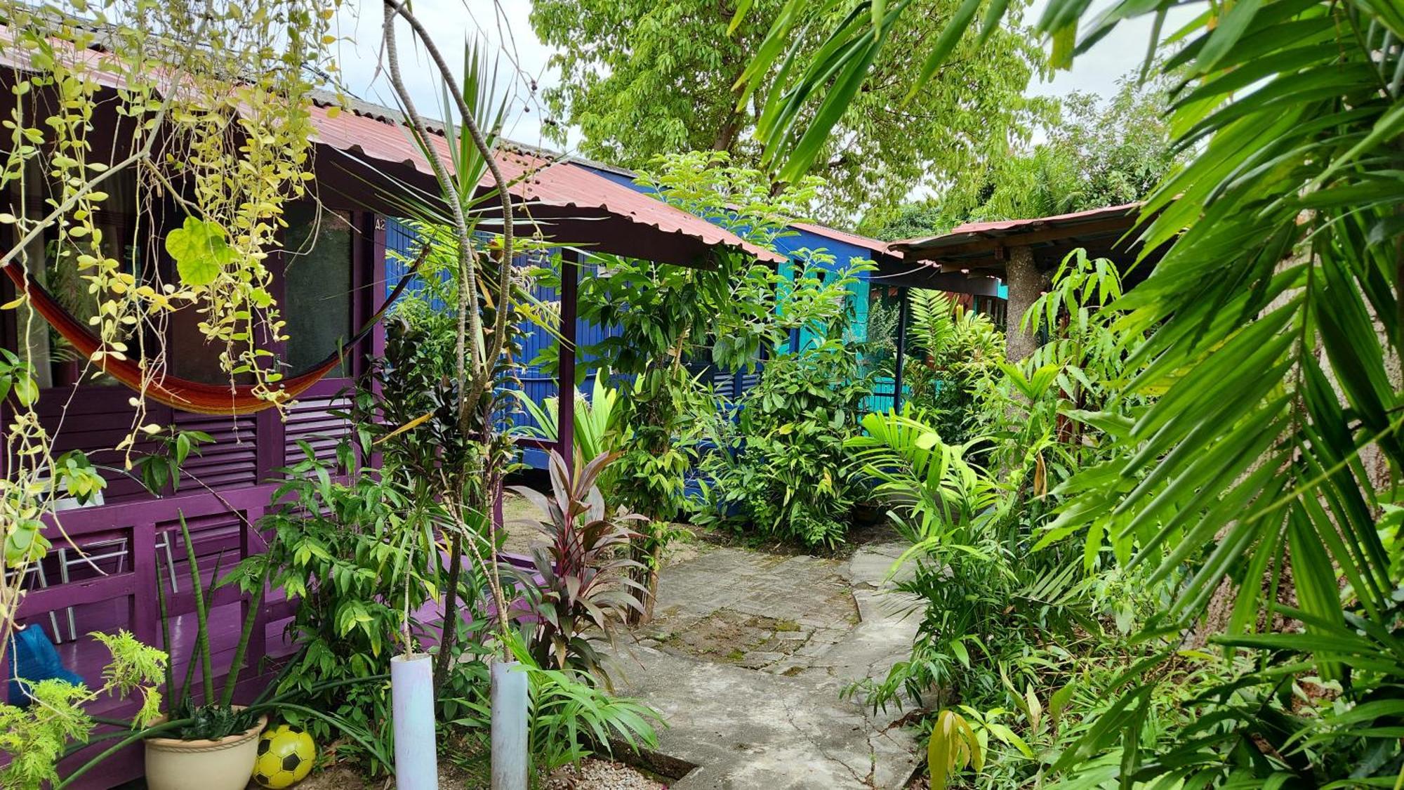 Gecko Guesthouse 판타이체낭 외부 사진