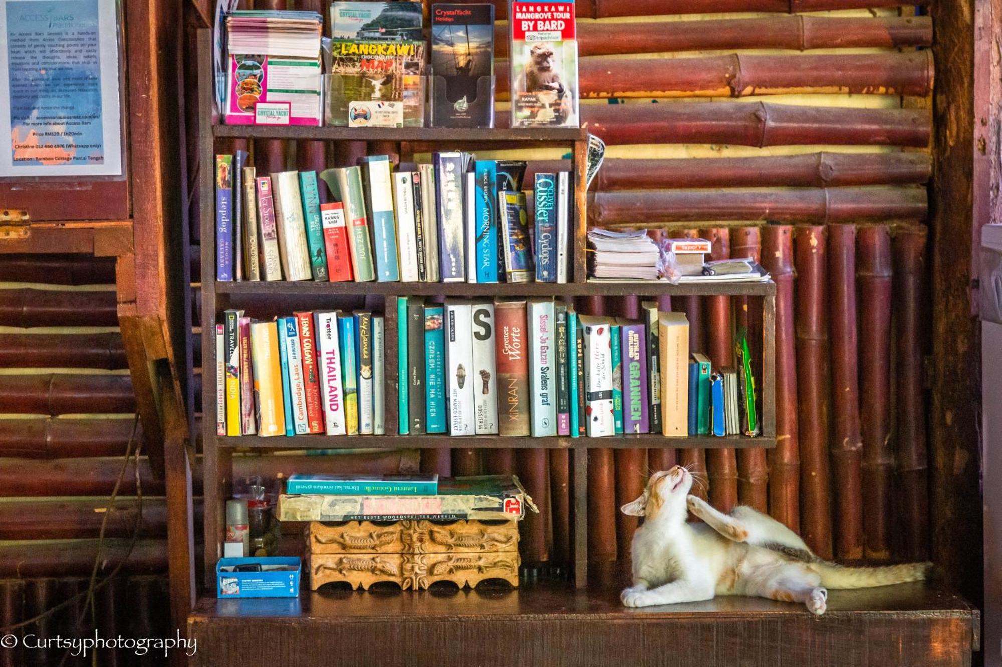 Gecko Guesthouse 판타이체낭 외부 사진